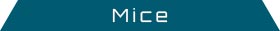 Mice Mvl