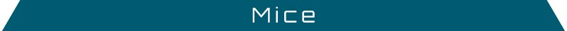 Mice