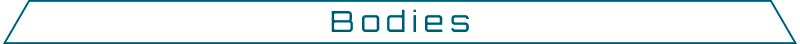 Bodies